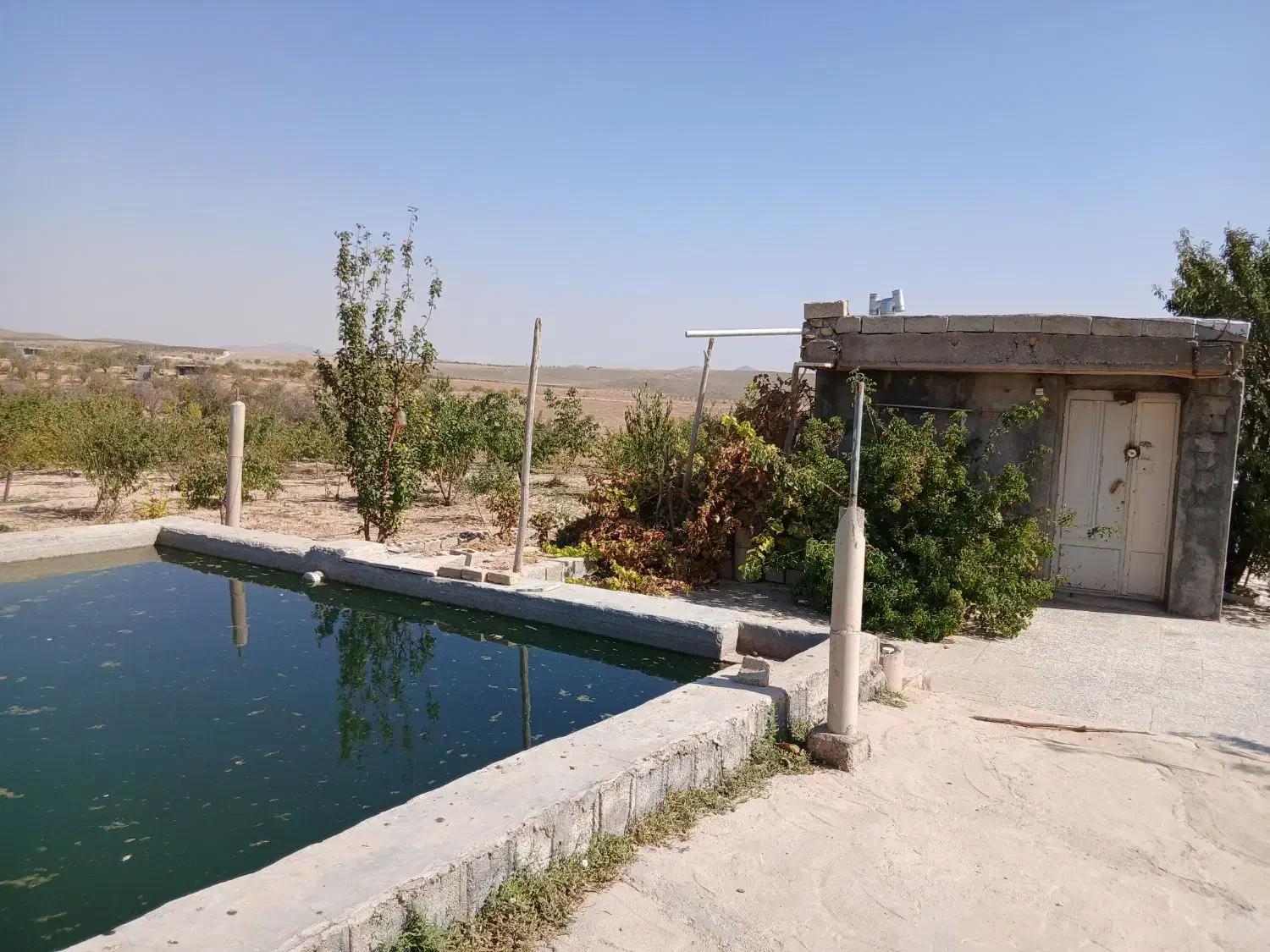 باغ گیلاس وبادام|فروش دفتر صنعتی، کشاورزی، تجاری|سامان, |دیوار