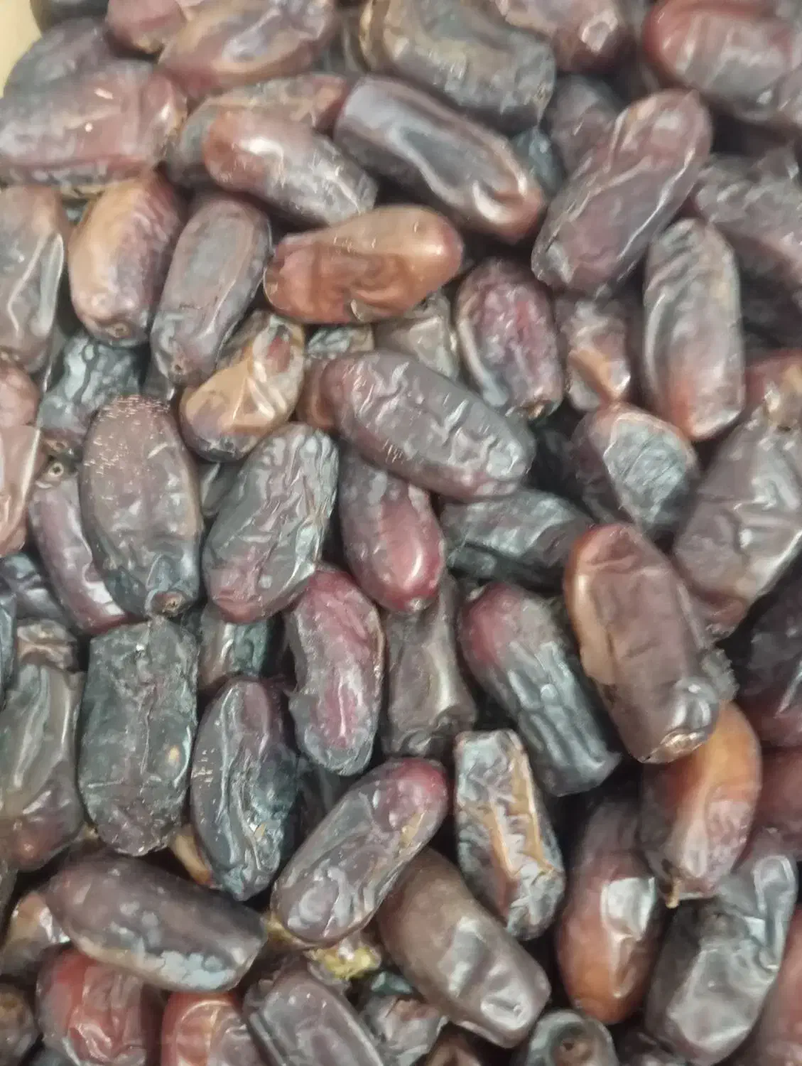 خرما ربی فله ای|خوردنی و آشامیدنی|خاش, |دیوار