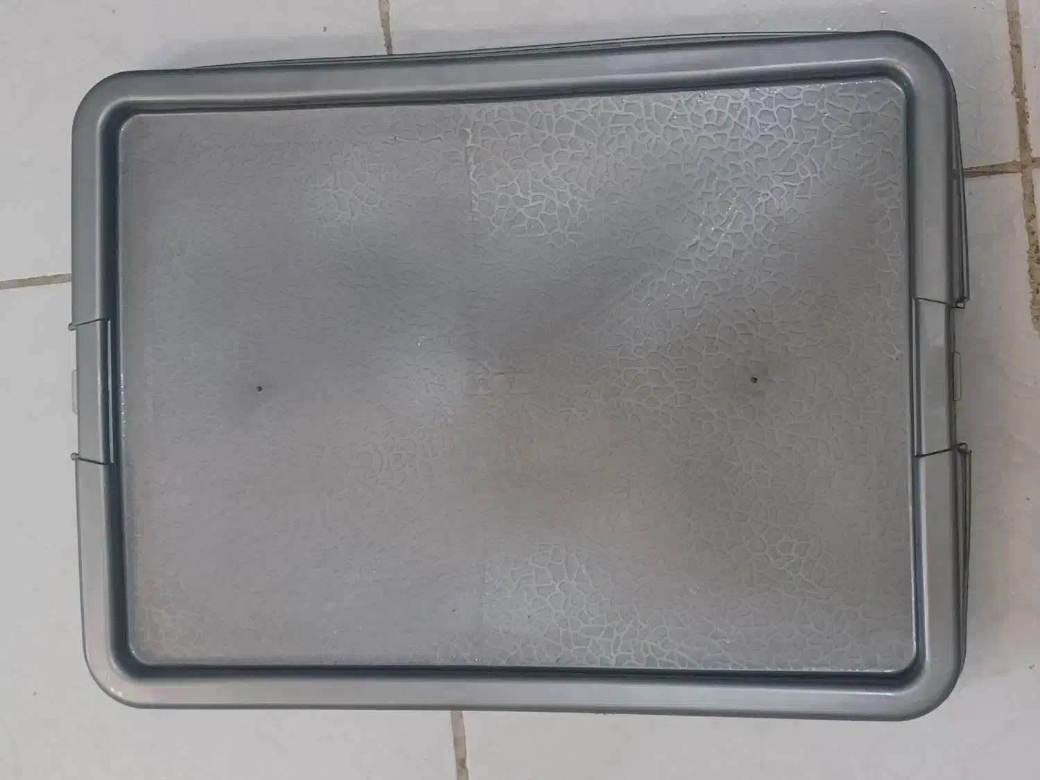 سینی ادرار|لوازم جانبی حیوانات|رشت, رودبارتان|دیوار