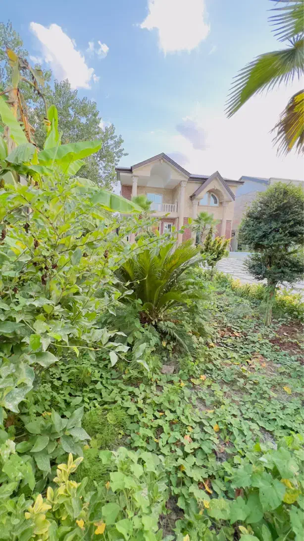 باغ ویلای ۸۰۰ متری استخر دار ۳خواب|فروش خانه و ویلا|زیباکنار, |دیوار