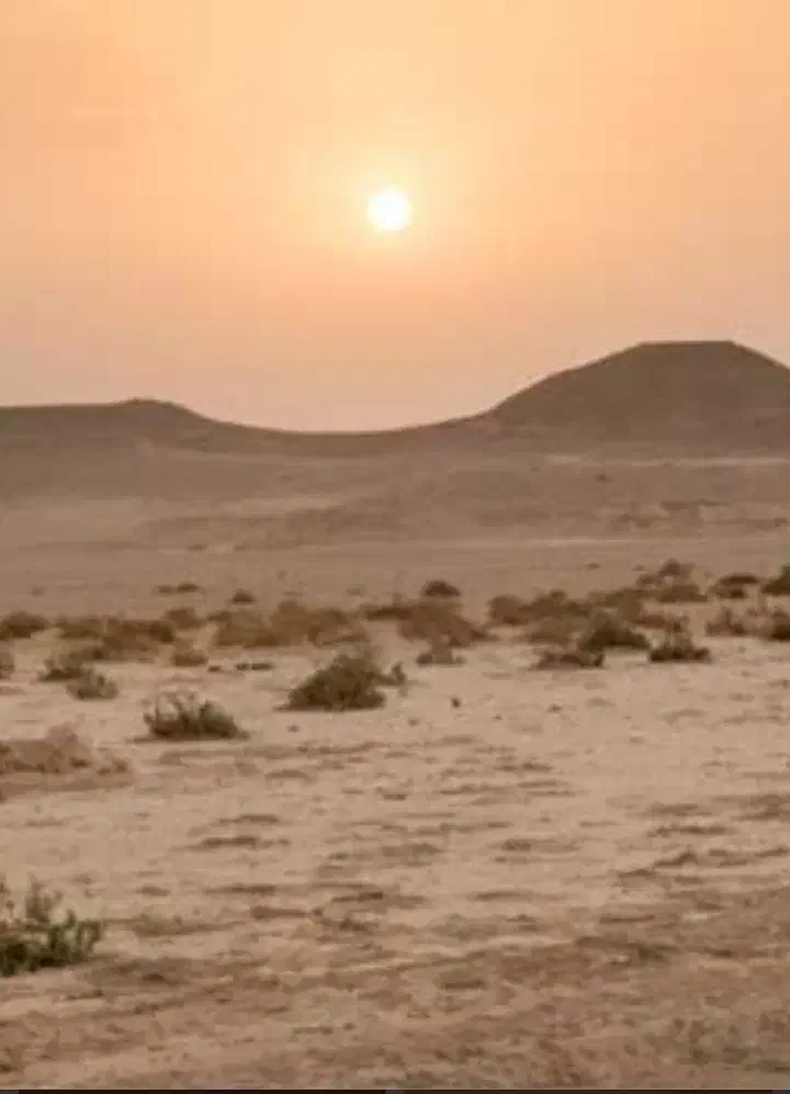 زمین مزروعی|فروش دفتر صنعتی، کشاورزی، تجاری|تهران, خرمشهر|دیوار