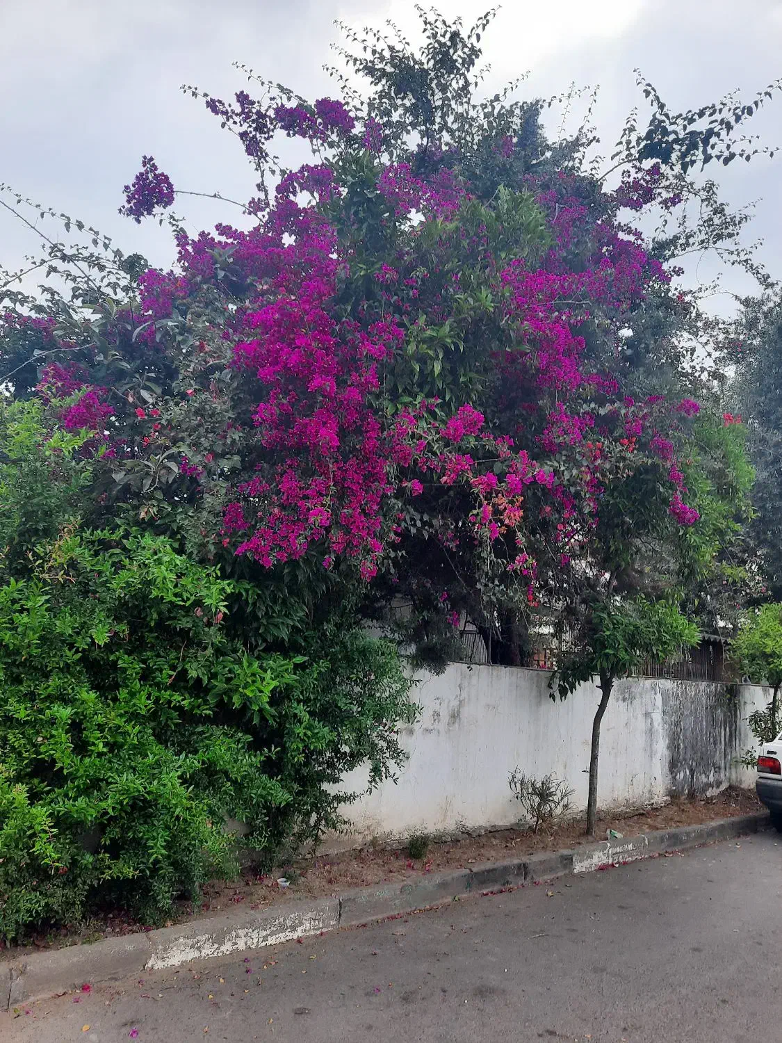 فروش زمین درشهرستان خور شهرجدید هشتگرد|فروش زمین و ملک کلنگی|هشتگرد, خور|دیوار