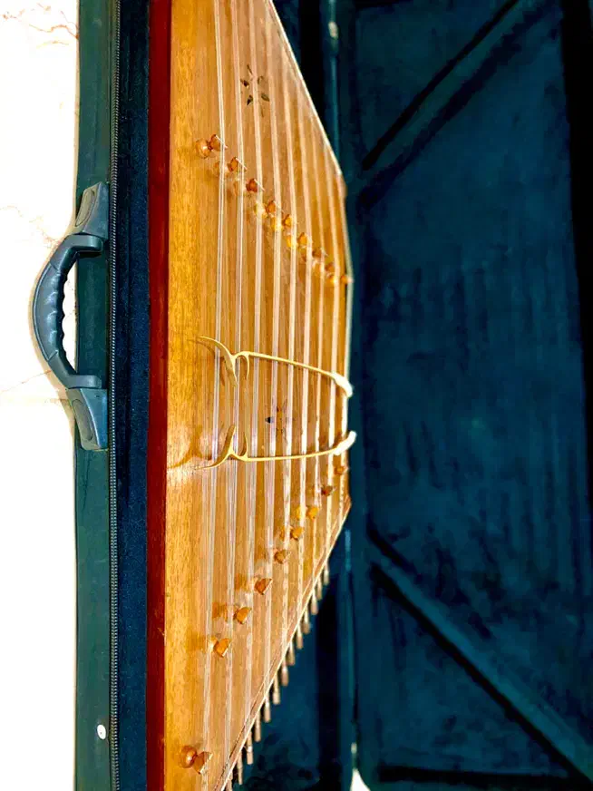 سنتور حرفه ای|سازهای سنتی|تهران, تهرانپارس شرقی|دیوار