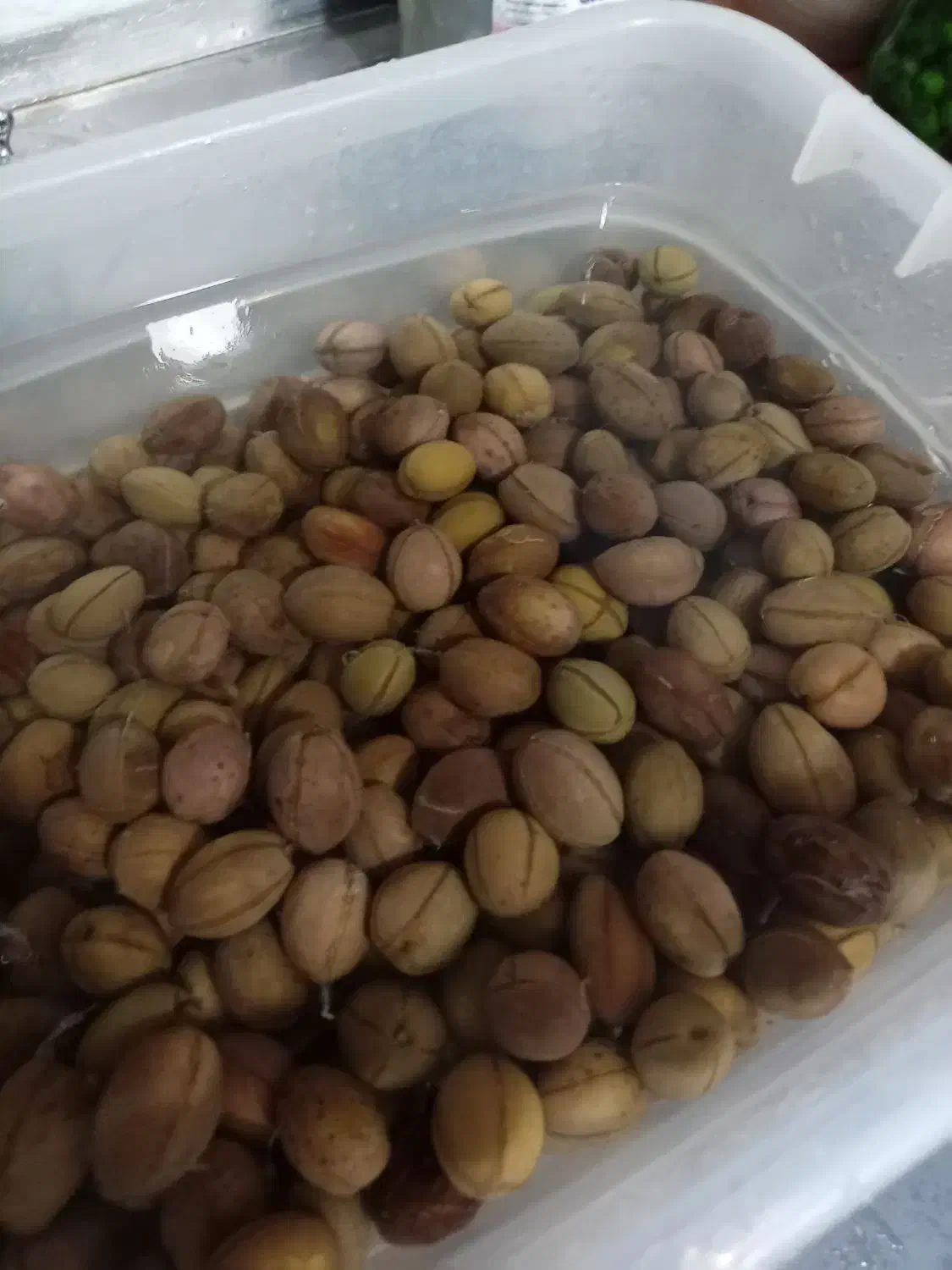 زیتون شور باهسته|خوردنی و آشامیدنی|زرند, |دیوار