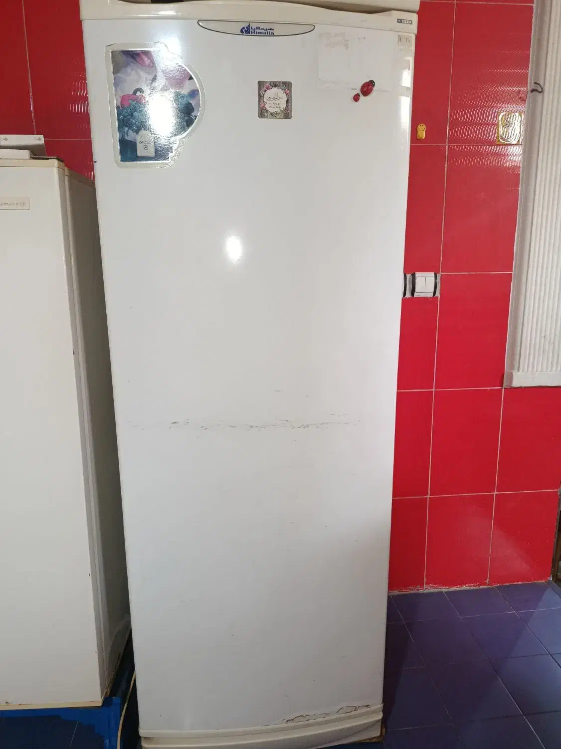 یخچال فریزر|یخچال و فریزر|شیراز, نیستان|دیوار