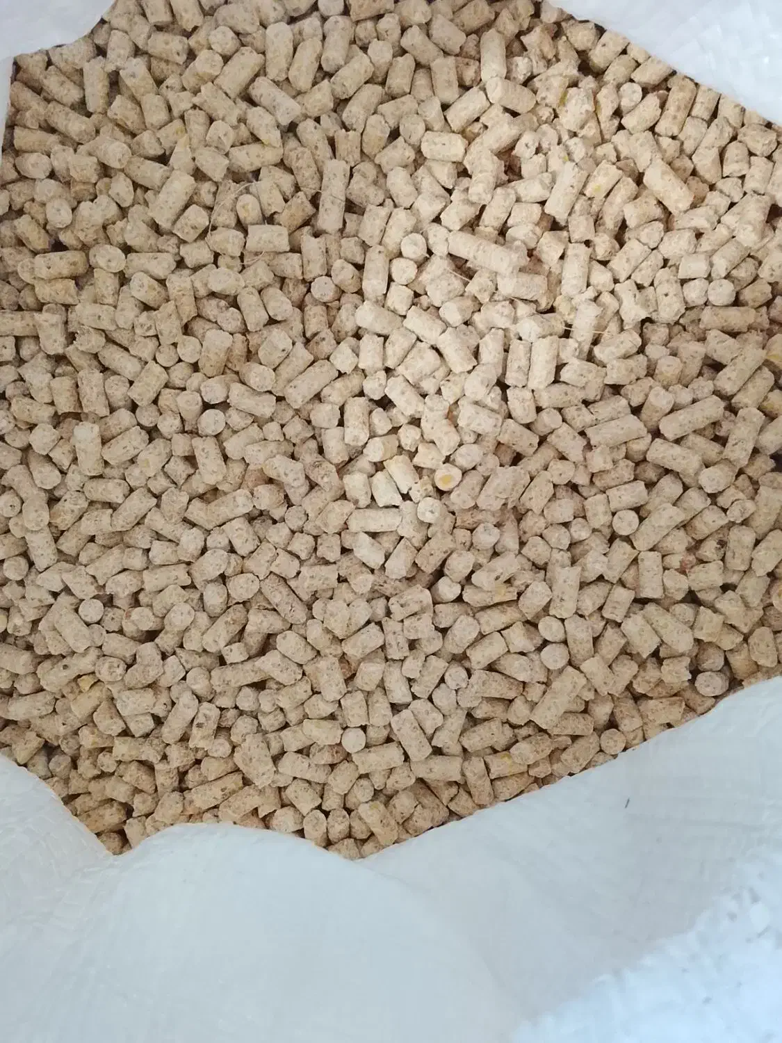 دان مرغی درجه یک شفاه دانه|لوازم جانبی حیوانات|بندر گز, |دیوار