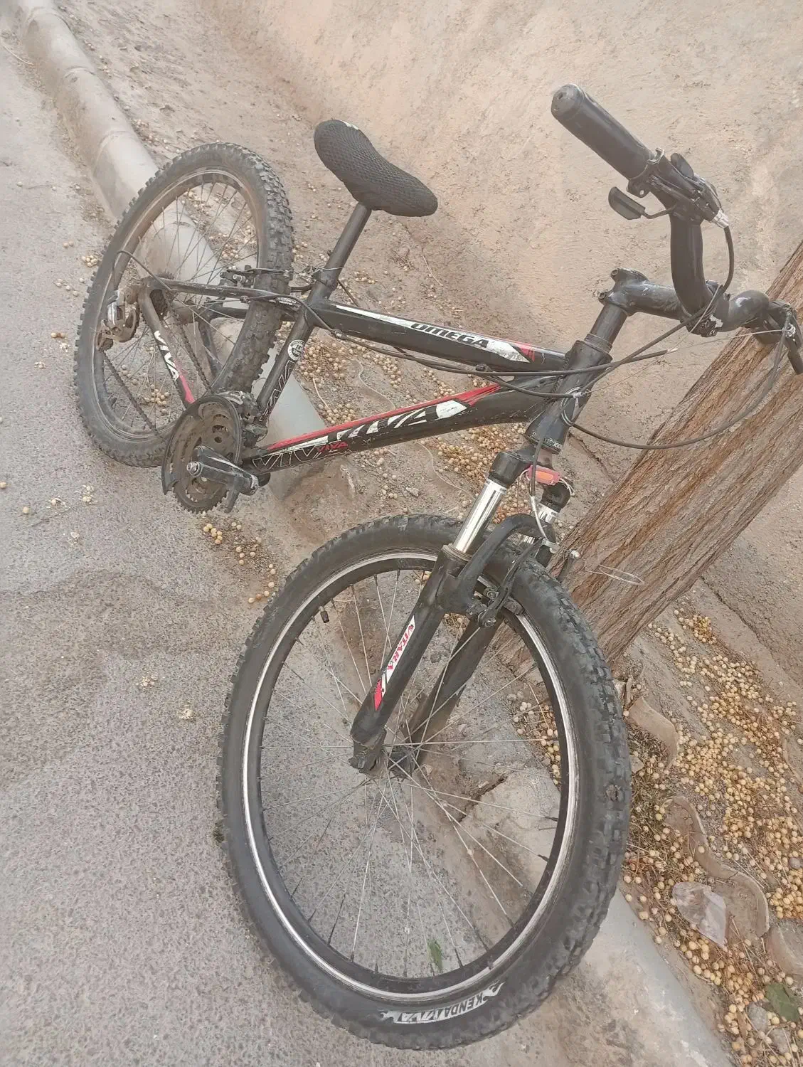 دوچرخه ویوا|دوچرخه، اسکیت، اسکوتر|گناباد, |دیوار