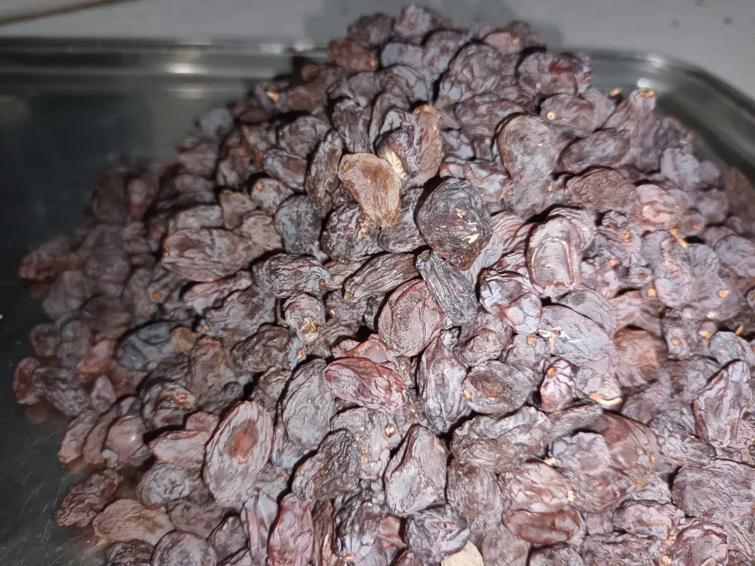 کشمش آفتابی|خوردنی و آشامیدنی|ساوه, |دیوار