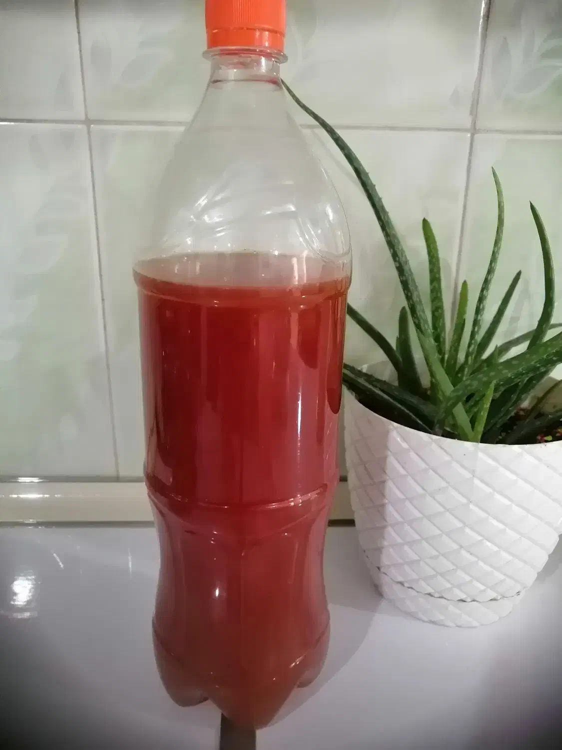 آبغوره خوشرنگ و ترش خونگی|خوردنی و آشامیدنی|سبزوار, اسلام آباد|دیوار