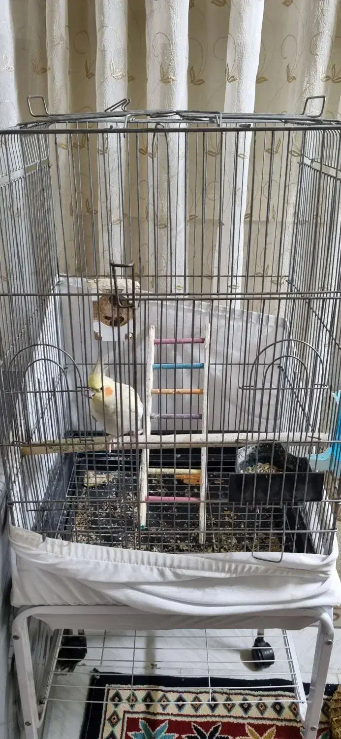 قفس پرنده با پایه|لوازم جانبی حیوانات|تهران, بیسیم|دیوار
