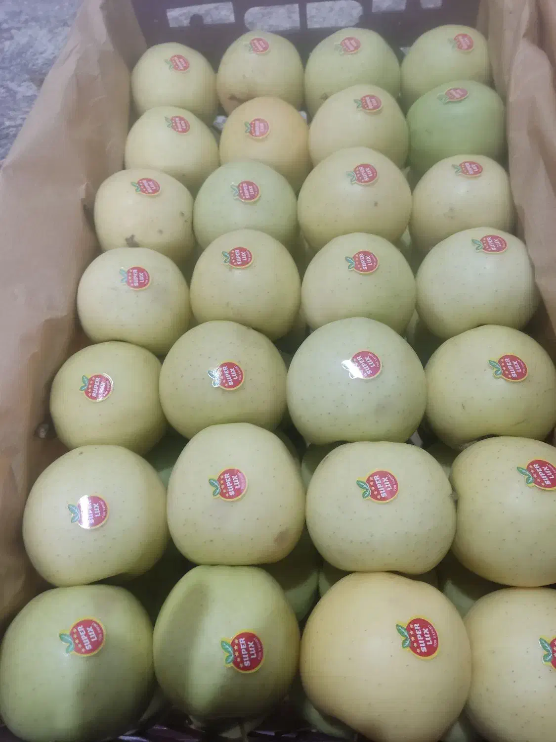 سیب درجه یک پول نقد|خوردنی و آشامیدنی|اهر, |دیوار