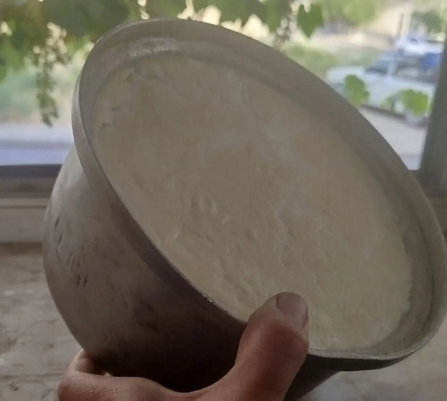 ماست گوسفند بدون ذره ای قاتی|خوردنی و آشامیدنی|سلماس, |دیوار