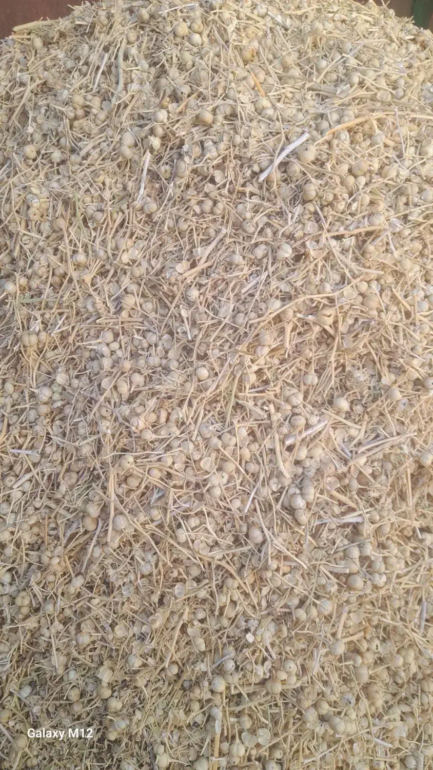 اسپند|خوردنی و آشامیدنی|سبزوار, اسلام آباد|دیوار