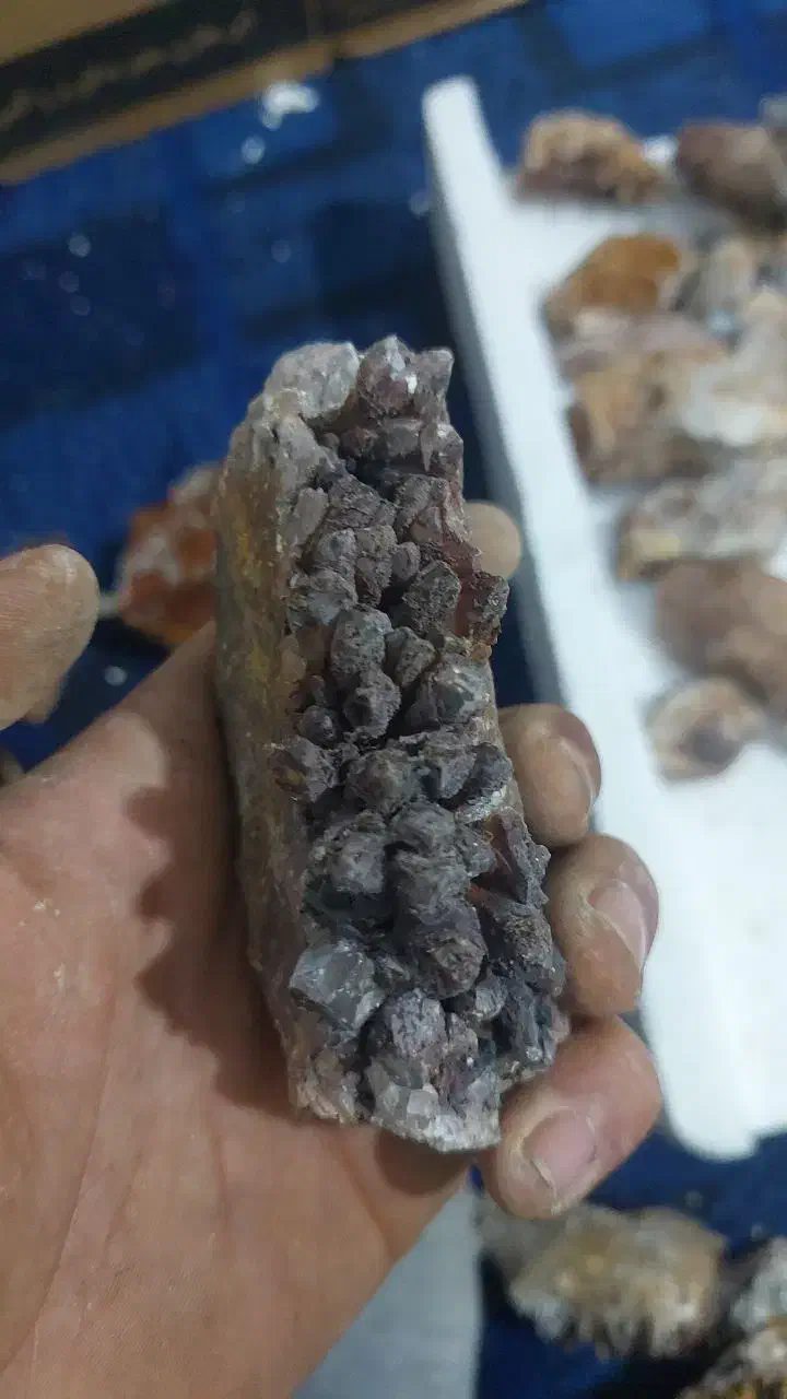 سنگ کولکسیونی|کلکسیون اشیاء عتیقه|بیرجند, |دیوار