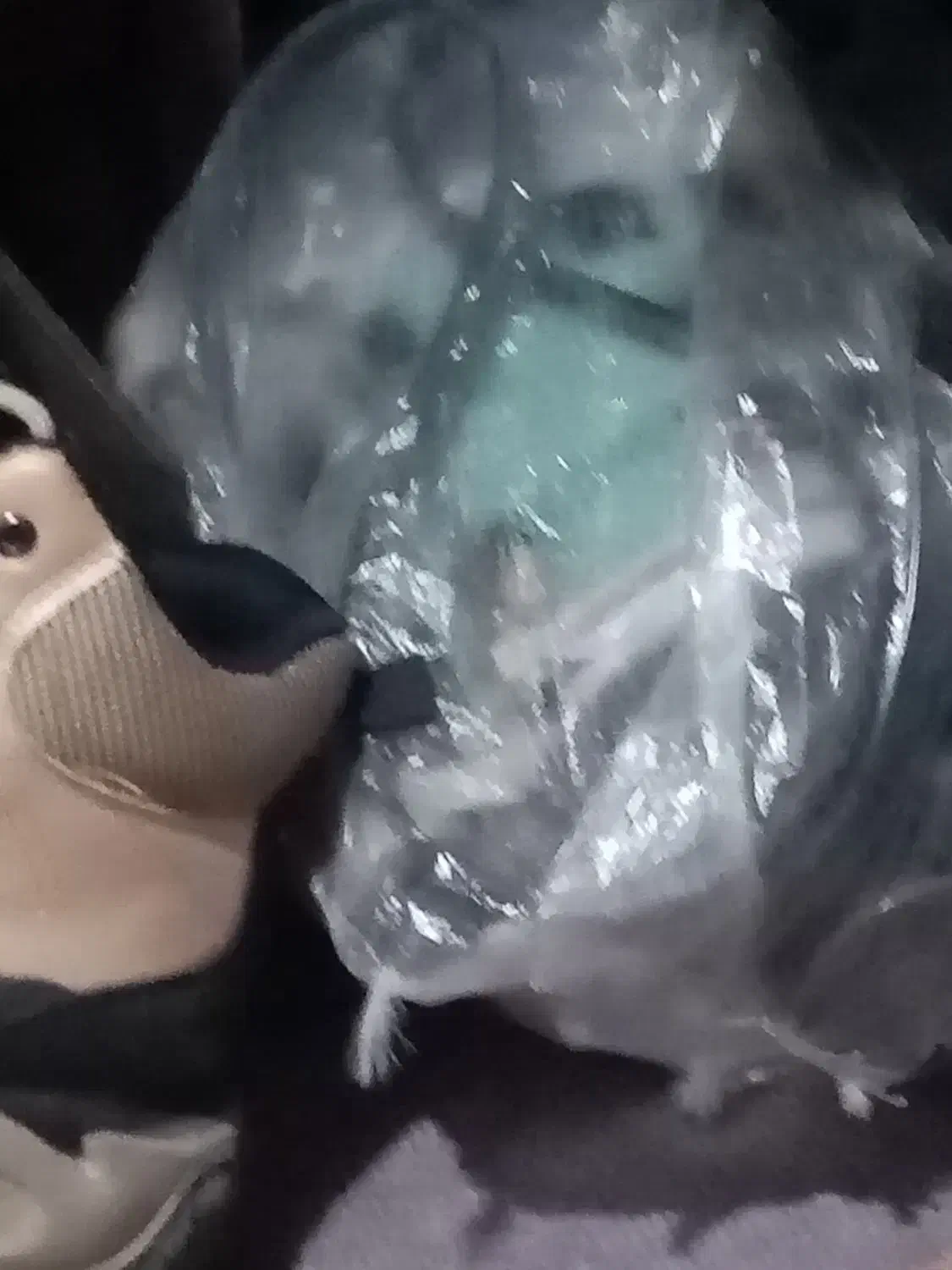 تلوزیون|تلویزیون و پروژکتور|اصفهان, ملک‌شهر|دیوار