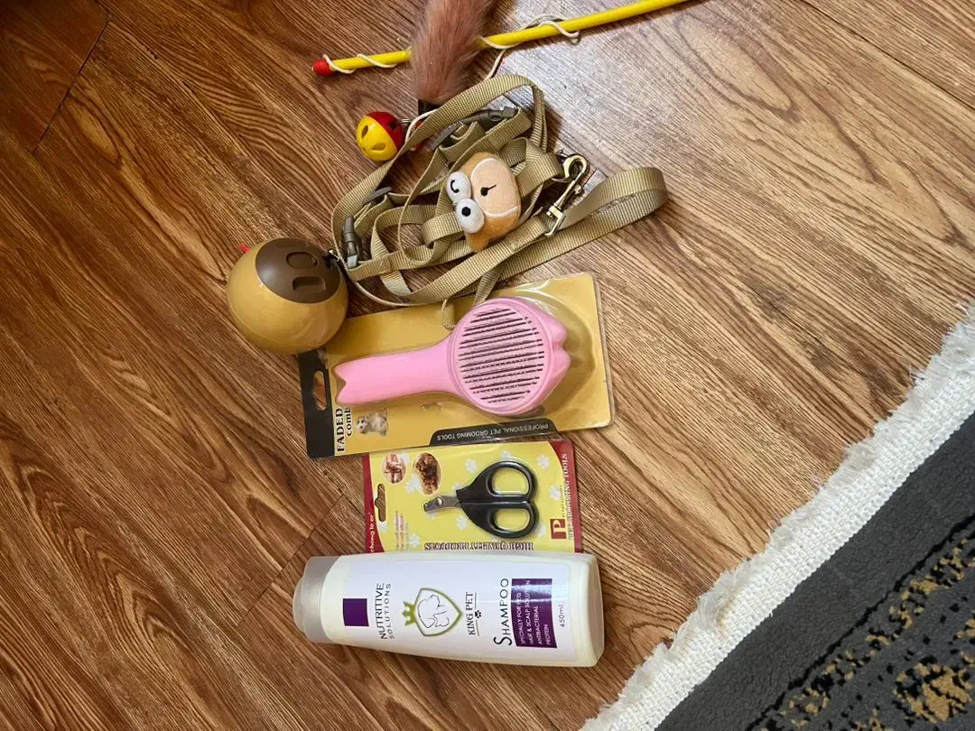 لوازم پت (گربه)|لوازم جانبی حیوانات|ری, حمزهآباد|دیوار