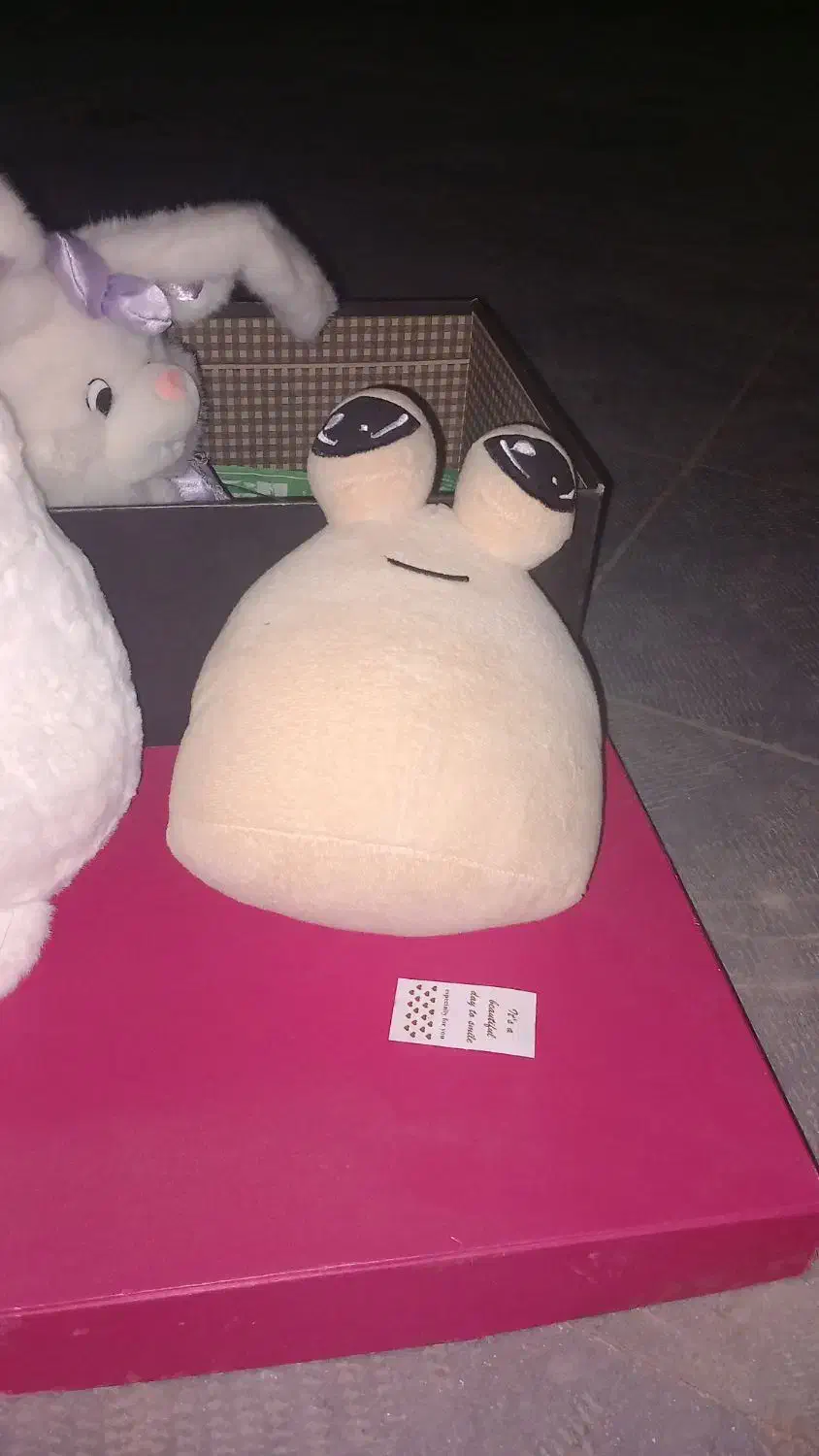 عروسک|اسباب‌بازی بچه|سنندج, |دیوار