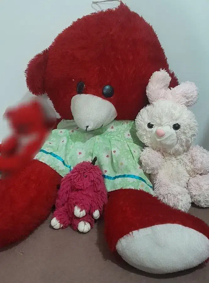 ...|اسباب‌‌بازی|سلماس, |دیوار