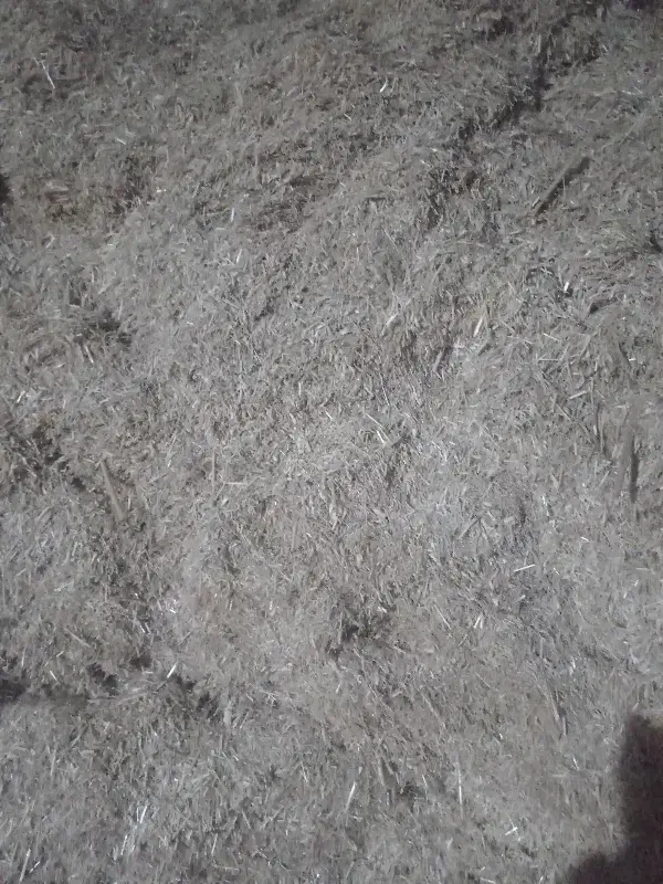 کاه تمیز|لوازم جانبی حیوانات|نیشابور, مازول|دیوار