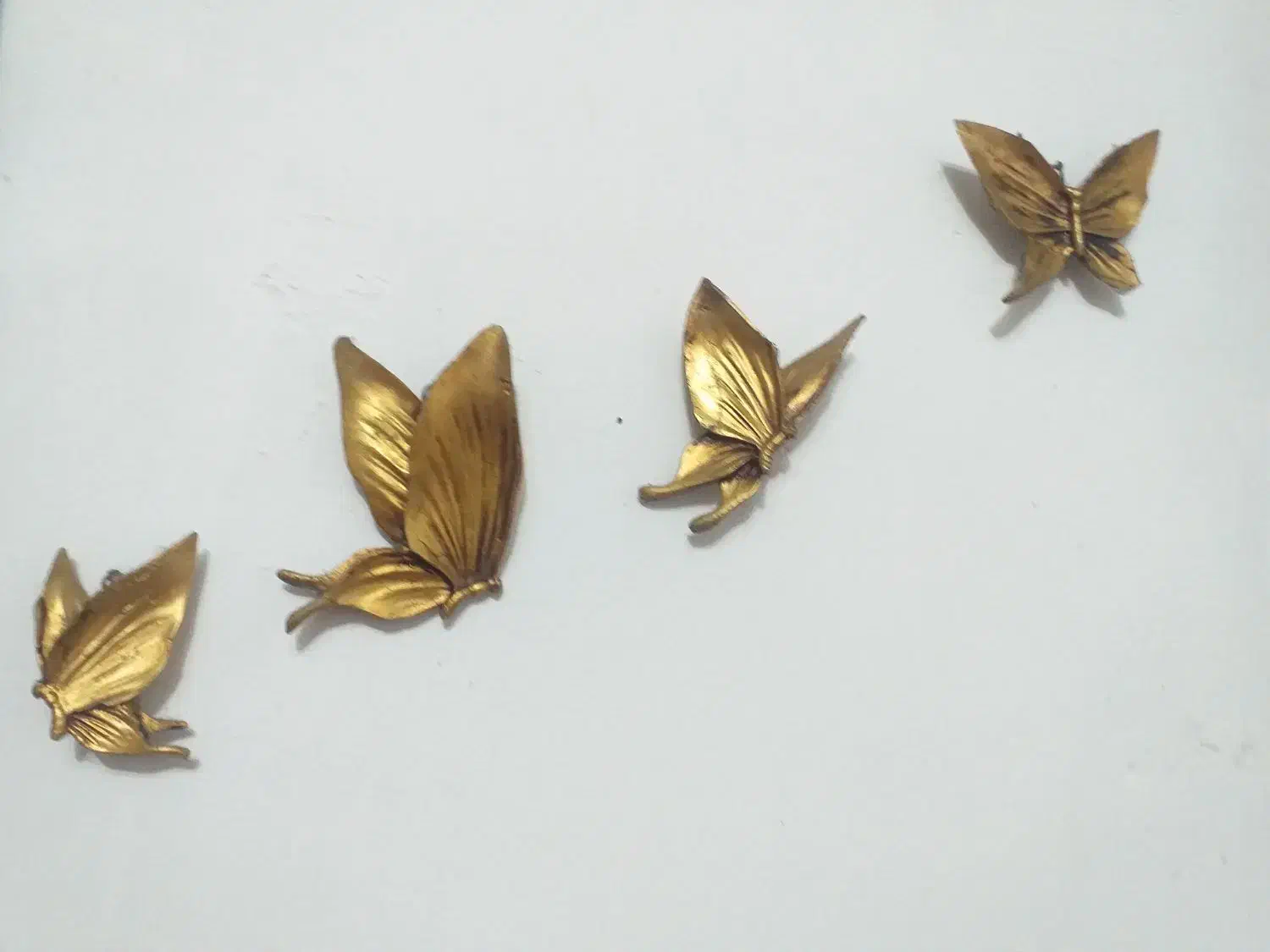 تابلو و مجسمه پروانه|تابلو، نقاشی، عکس|رودبنه, |دیوار