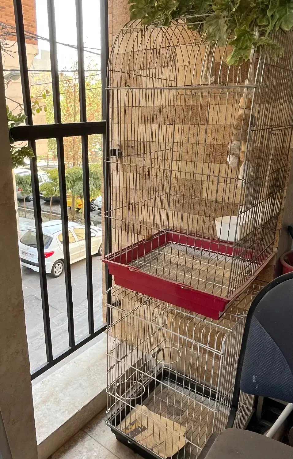 قفس پرنده|لوازم جانبی حیوانات|تهران, زرکش|دیوار