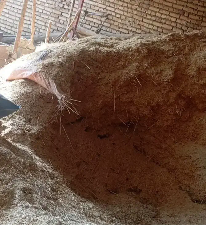 فروش کاه سفید، سبز، عدس ،|لوازم جانبی حیوانات|فلارد, |دیوار