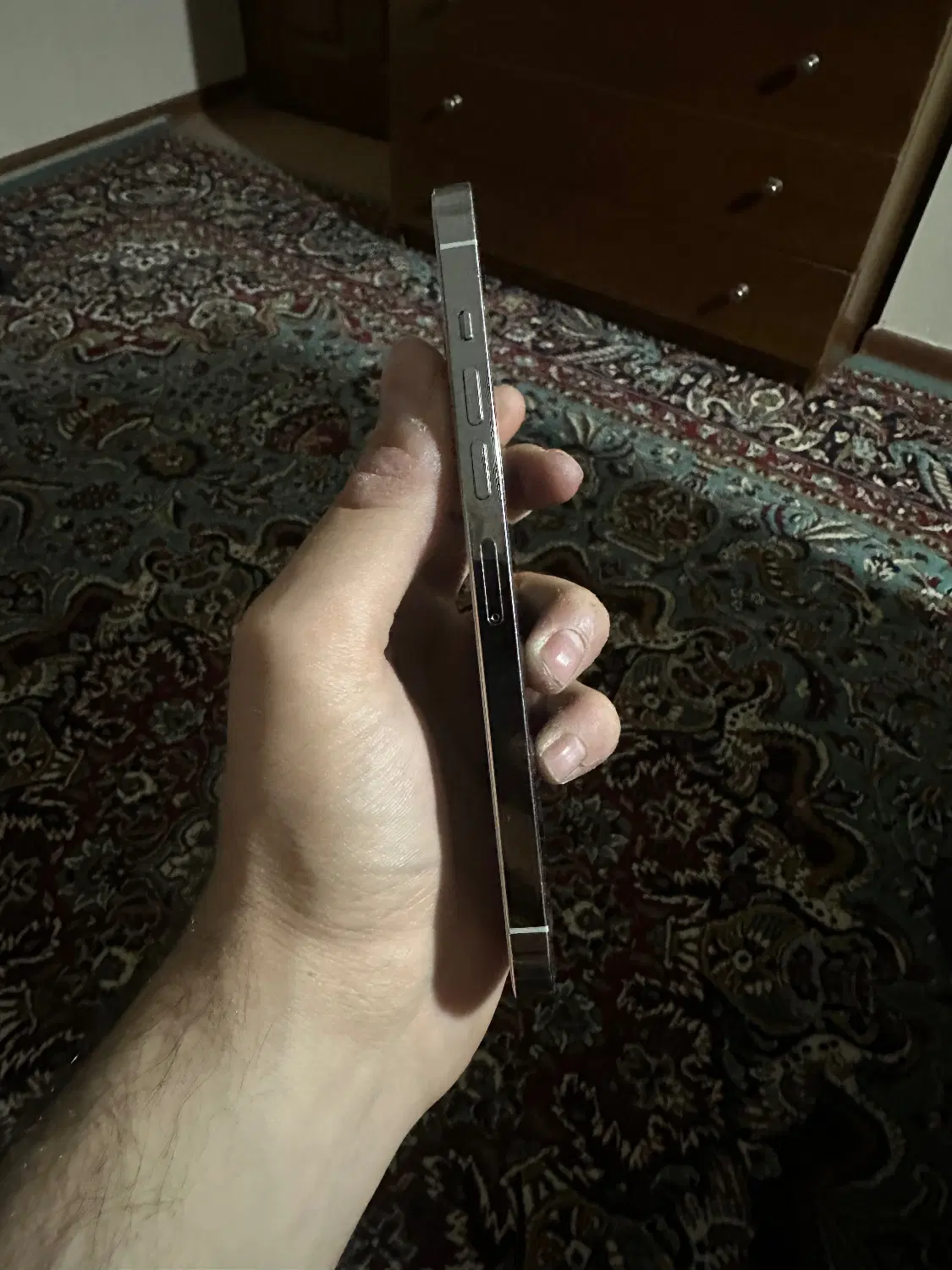 iphone 13 pro max|موبایل|مشهد, رضاشهر|دیوار