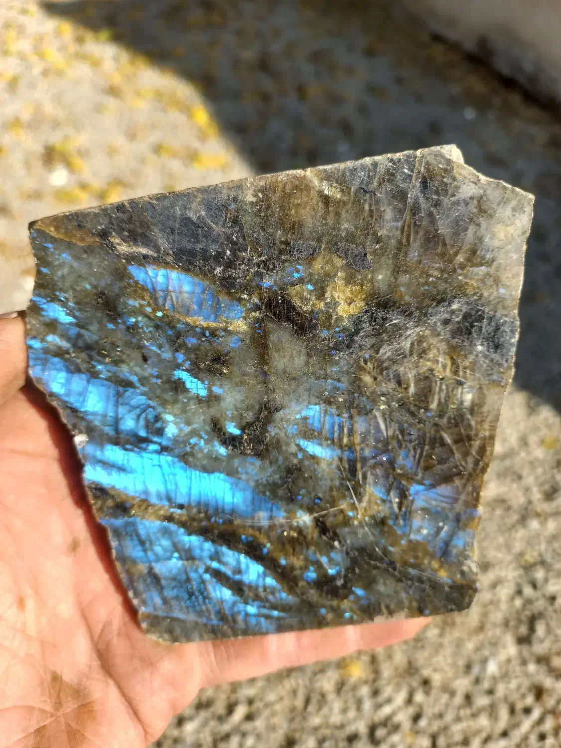 راف لابرادوریت عقیق فیروزه یشم|بدلیجات|باغستان, |دیوار