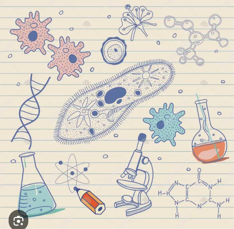 تدریس خصوصی و عمومی درس زیست برای تمامی پایه ها|خدمات آموزشی|تبریز, |دیوار