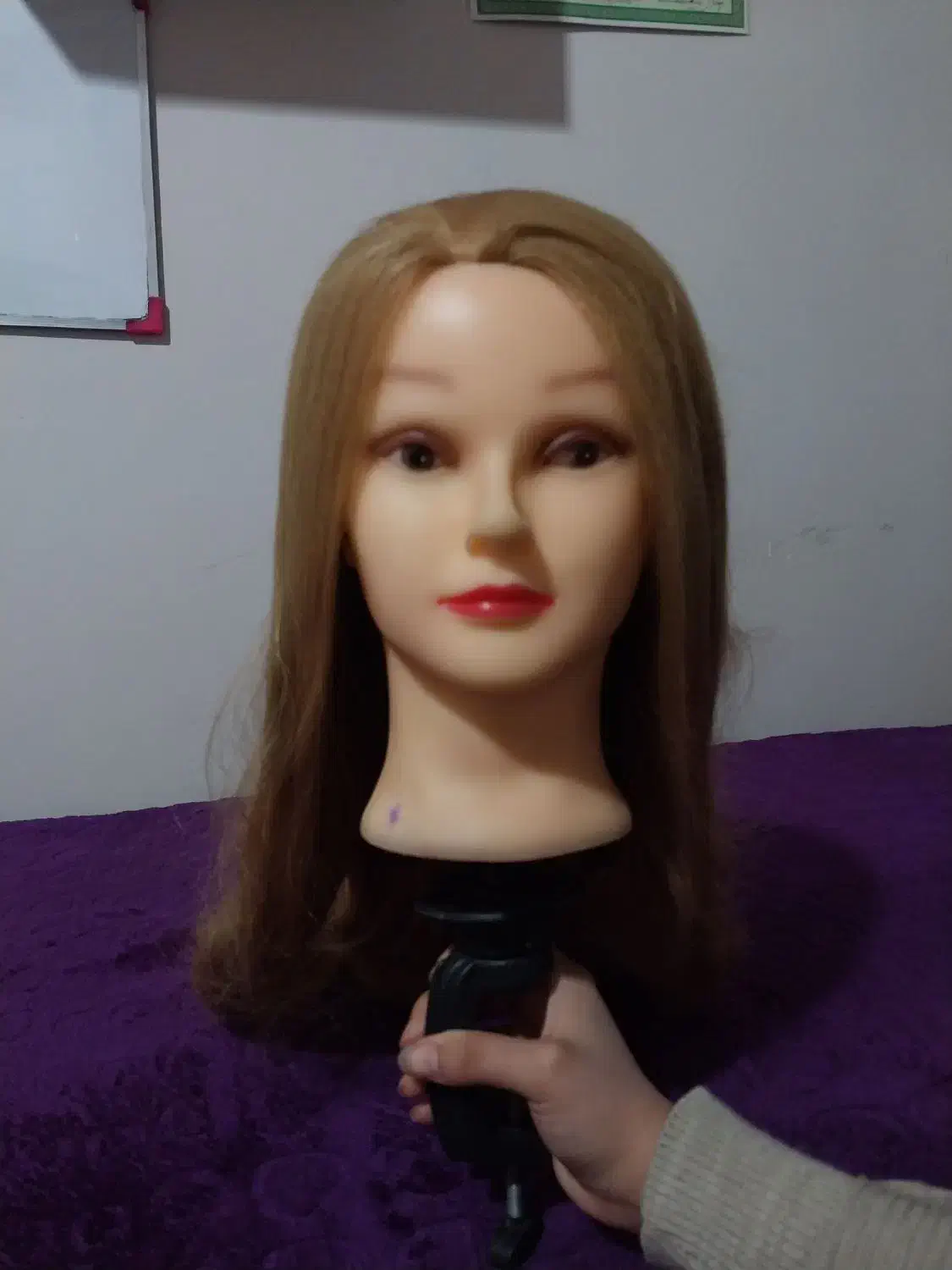 کله مانکن|آرایشی، بهداشتی، درمانی|اقبالیه, |دیوار