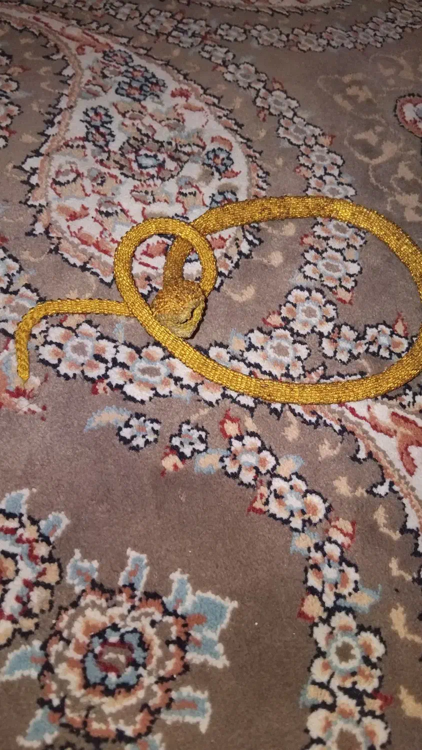 مار دست دوز قدیمی (تسبیح)|کلکسیون اشیاء عتیقه|خسروشاه, |دیوار