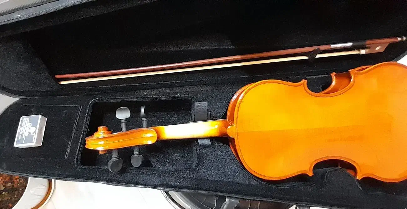 ویولن تی اف ۱۳۲ اصل با شولدر در حد آک|ویولن|اصفهان, آبشار|دیوار