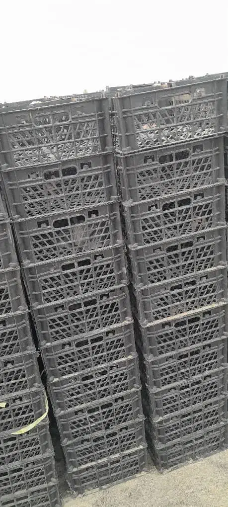 فروش سبد میوه|عمده‌فروشی|جیرفت, |دیوار