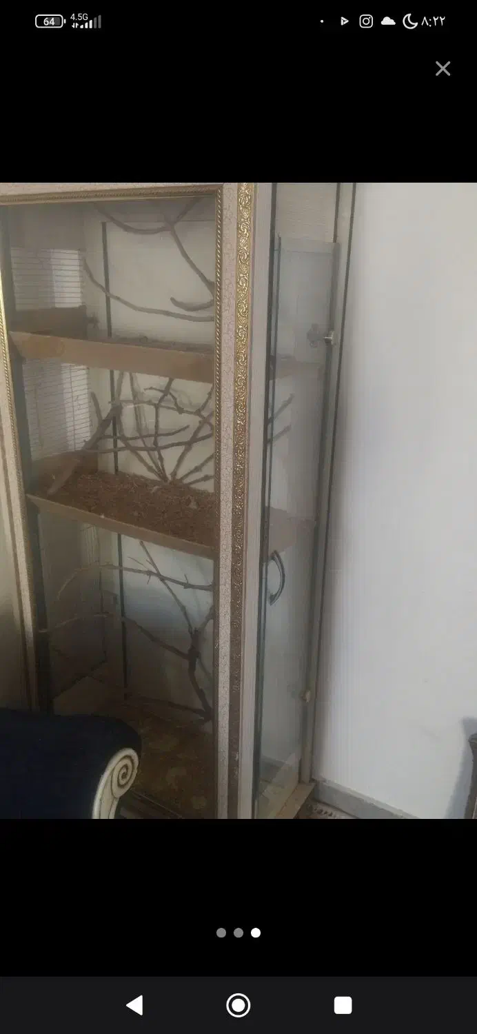 قفس عروس هلندی فنچ مرغ عشق کوتوله برزیلی|لوازم جانبی حیوانات|مشهد, شهید شهریاری|دیوار