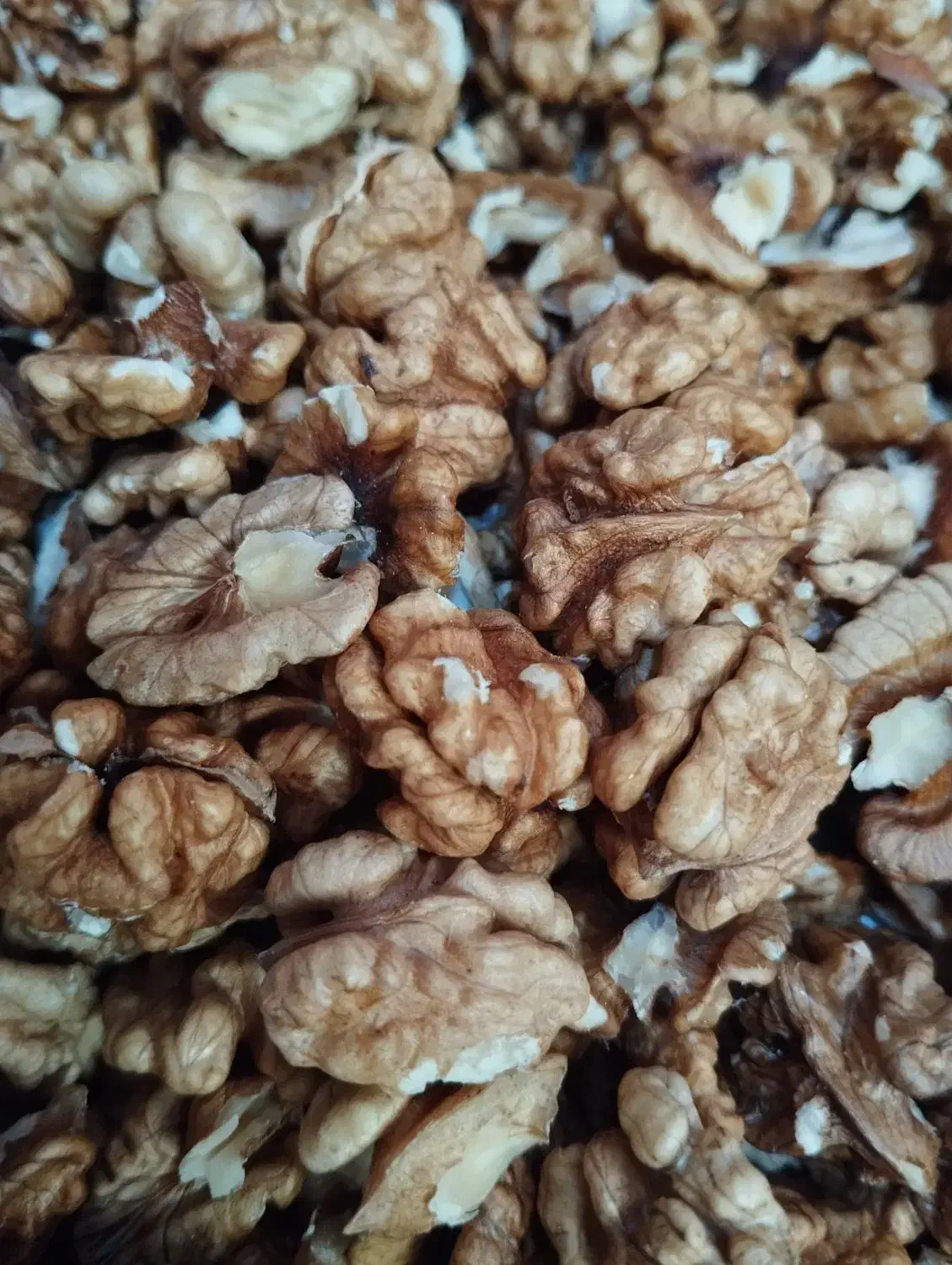 فروش گردو ییلاقی|خوردنی و آشامیدنی|تالش, هشتپر|دیوار