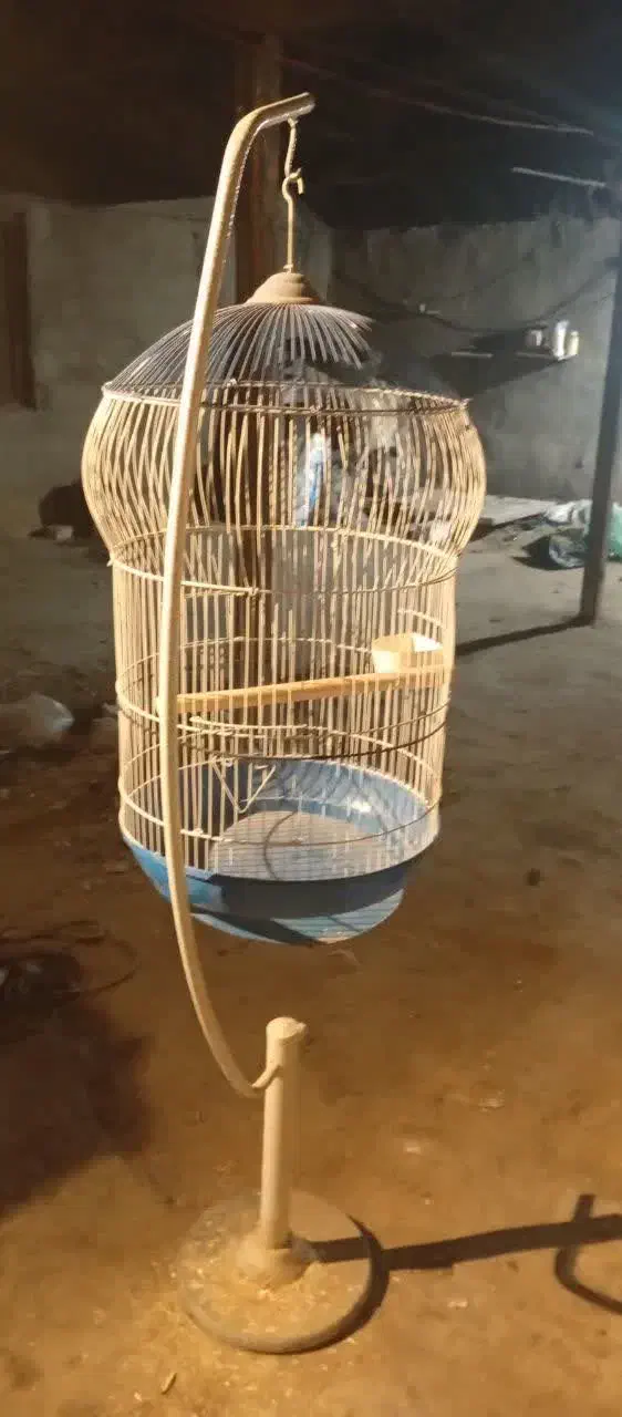 قفس پرنده|لوازم جانبی حیوانات|قم, ولیعصر|دیوار