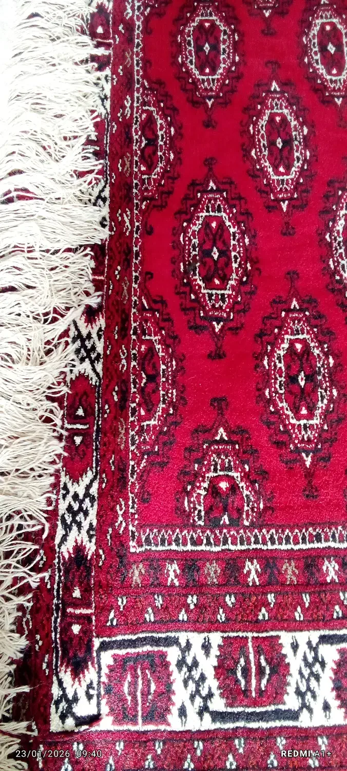 فرش دستبافت ترکمن|فرش|کلاله, |دیوار