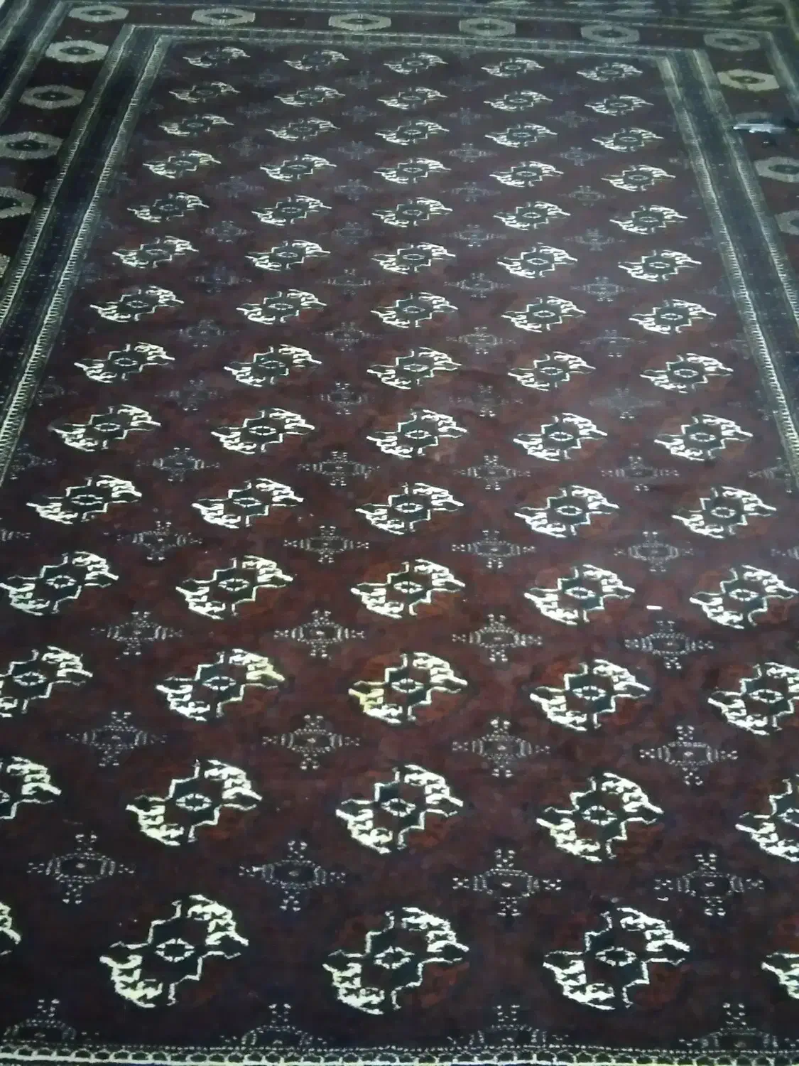 فرش ترکمنی ۱۲ متری|فرش|گنبد کاووس, |دیوار