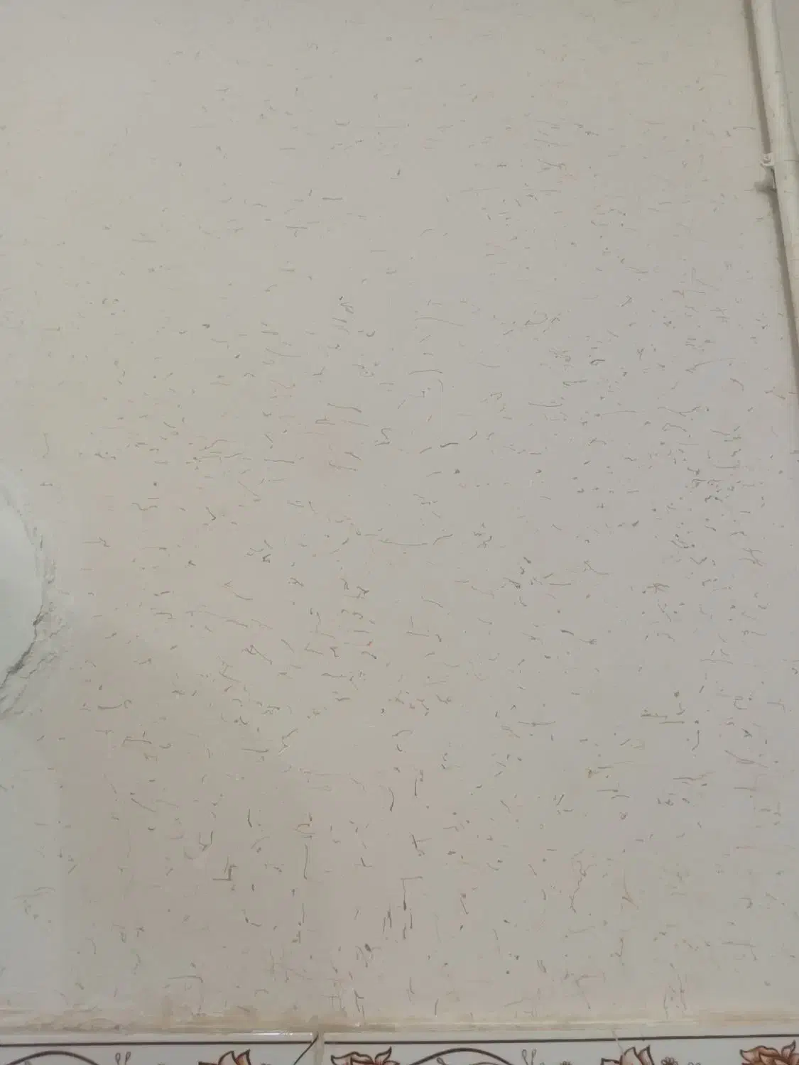 بنای ساختمانی|خدمات پیشه و مهارت|قزوین, |دیوار