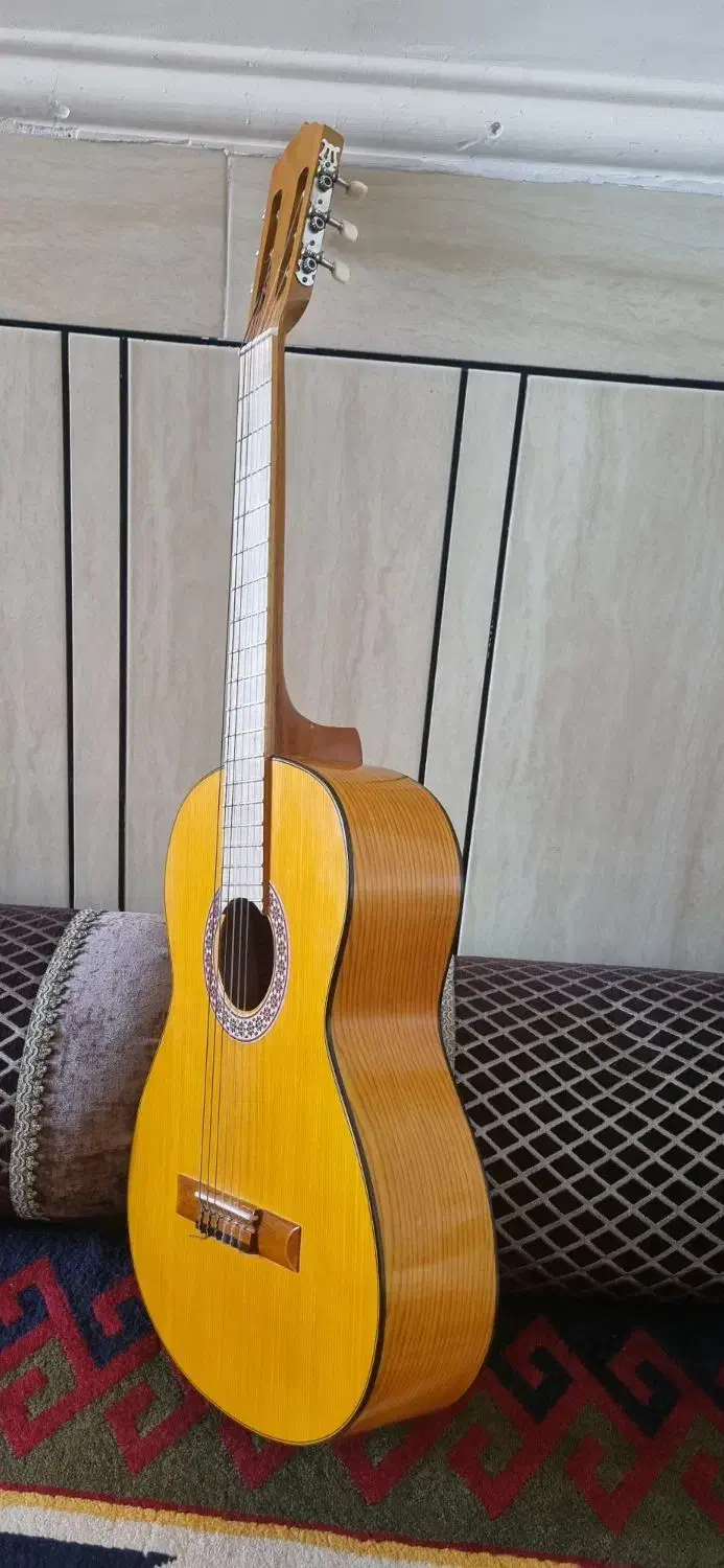 فروش گیتار مدل MAT2 پلاس همراه با کیف|گیتار، بیس، امپلیفایر|ایذه, |دیوار