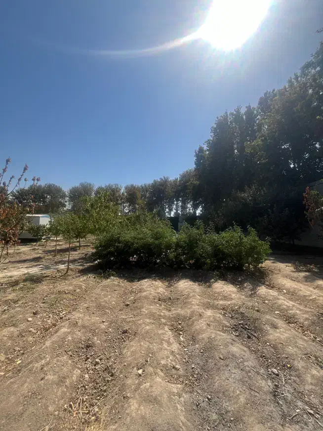 ۲۶۰۰متر زمین/سند تکبرگ/چهاردیواری|فروش زمین و ملک کلنگی|محمدشهر, عباس آباد|دیوار