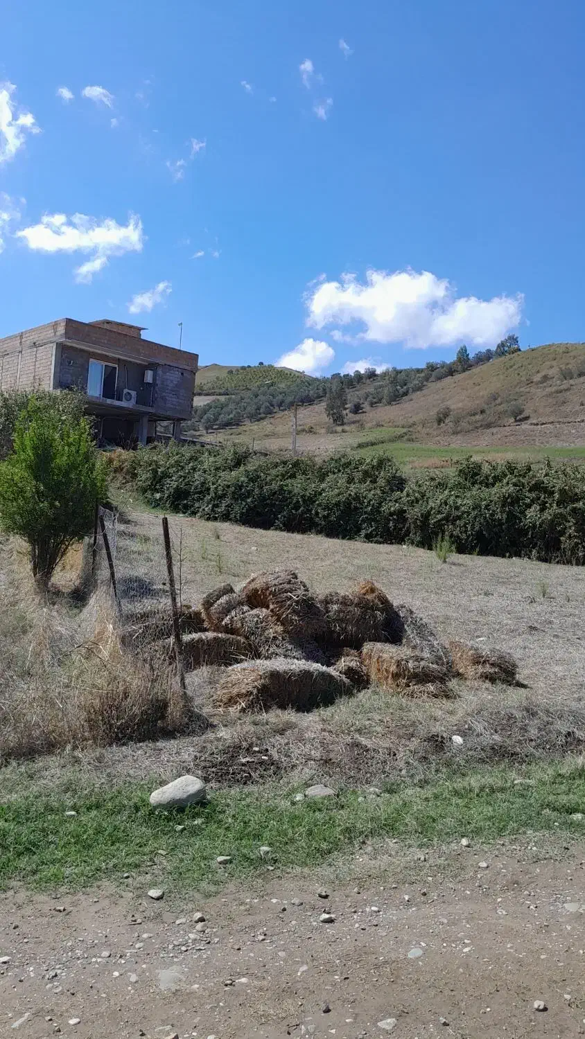 فروش زمین مسکونی ابتدای روستای محمدآباد|فروش زمین و ملک کلنگی|مینودشت, |دیوار