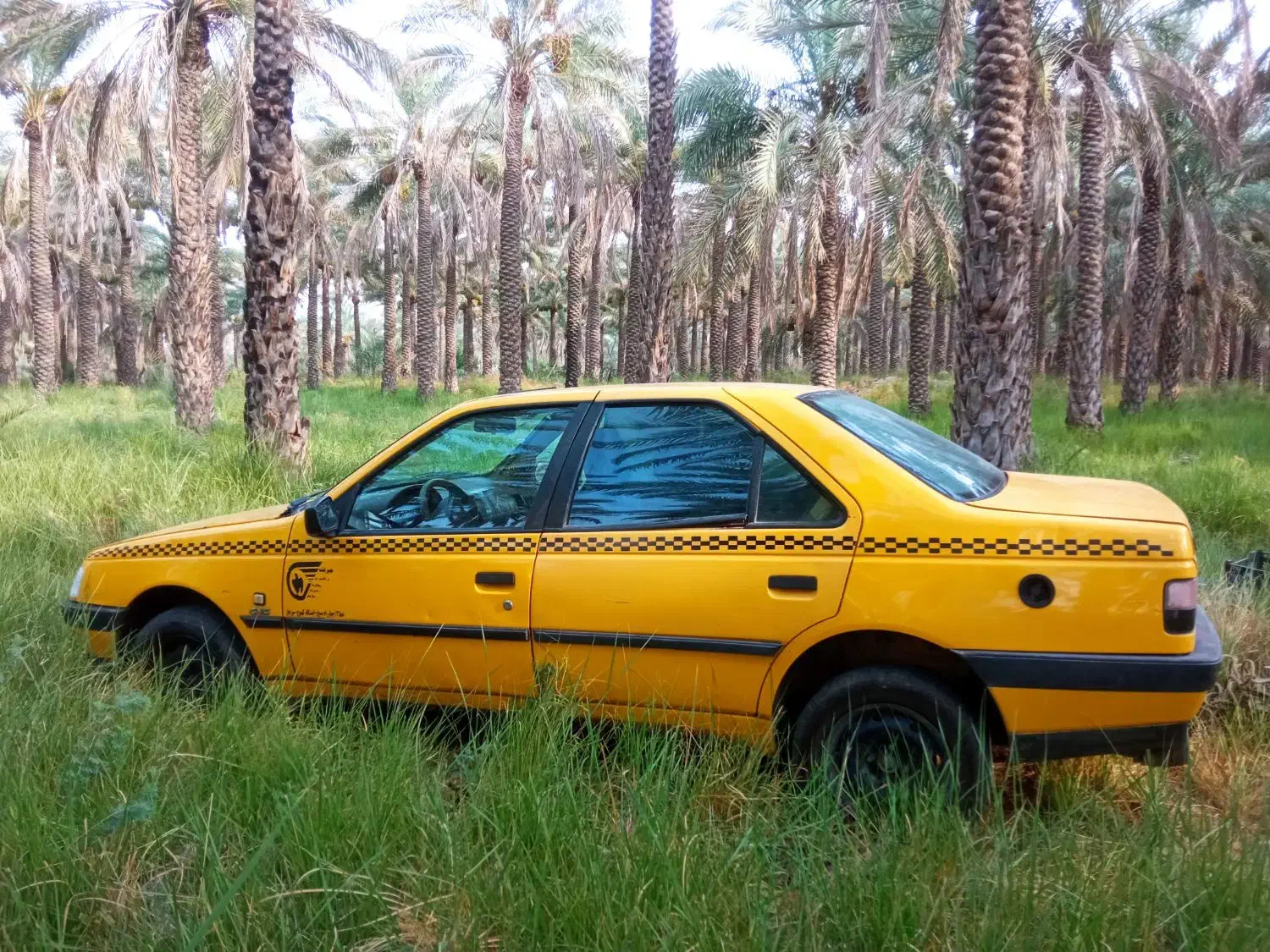 پژوتاکسی مدل 96دوگانه سوزشرکتی|خودرو سواری و وانت|جیرفت, |دیوار