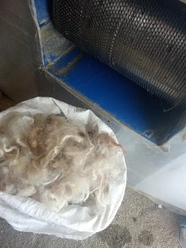 حلاجی  پشم گوسفند|رختخواب، بالش، پتو|انزل, |دیوار