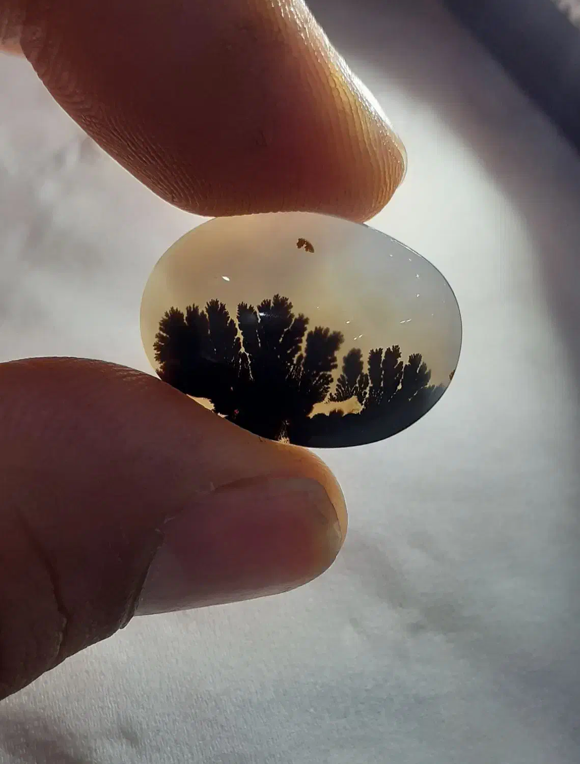 سنگ شجر|جواهرات|تهران, هرندی|دیوار