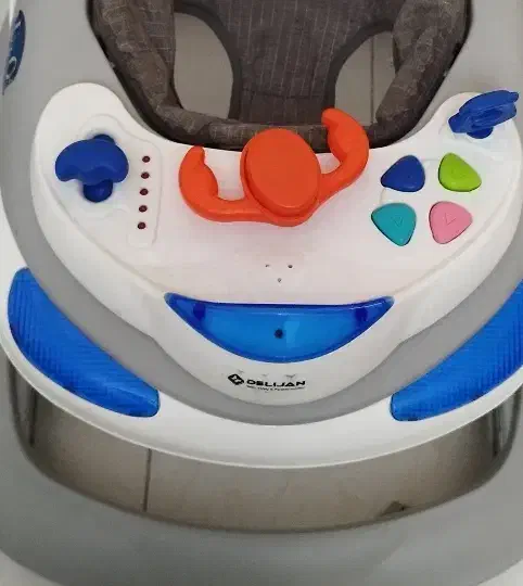 روروئک دلیجان|کالسکه و لوازم جانبی|قدس, شهر‌قدس|دیوار