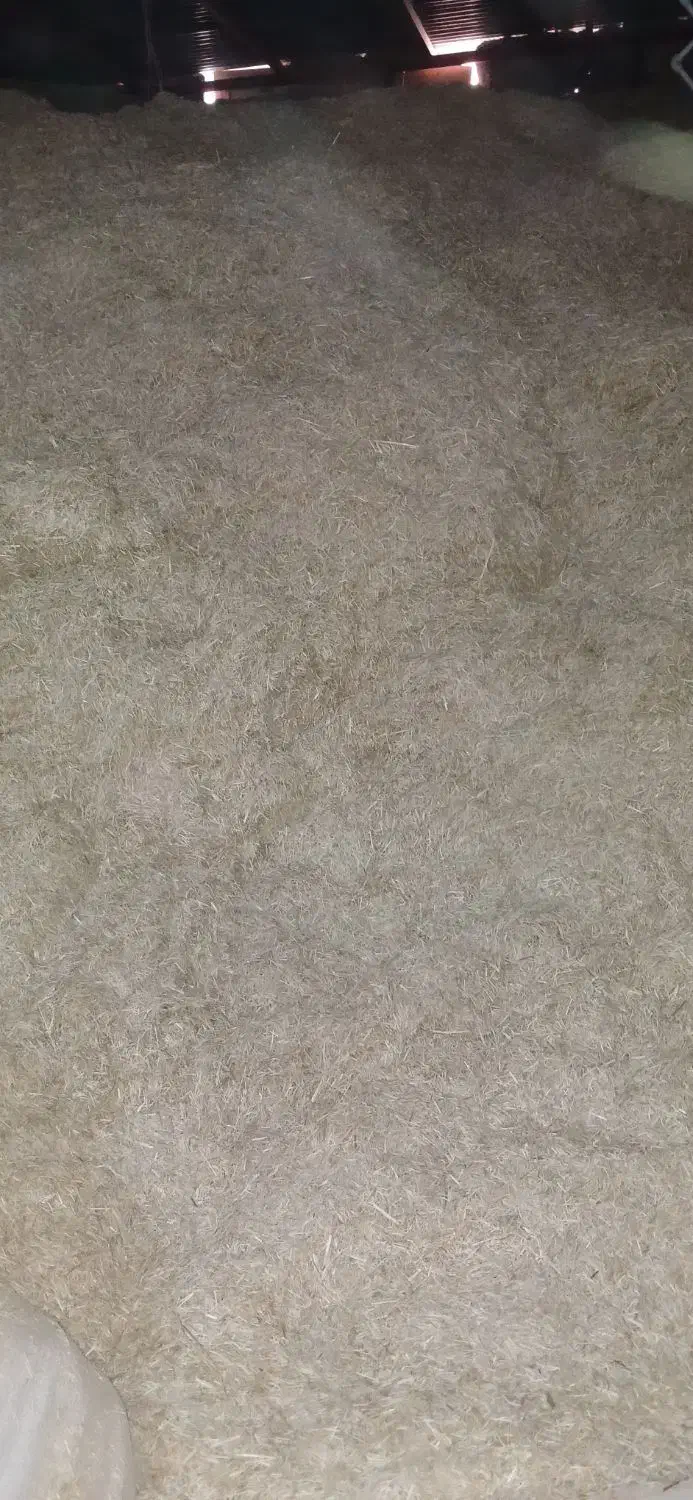 کاه برنج|عمده‌فروشی|بیرانوند, |دیوار