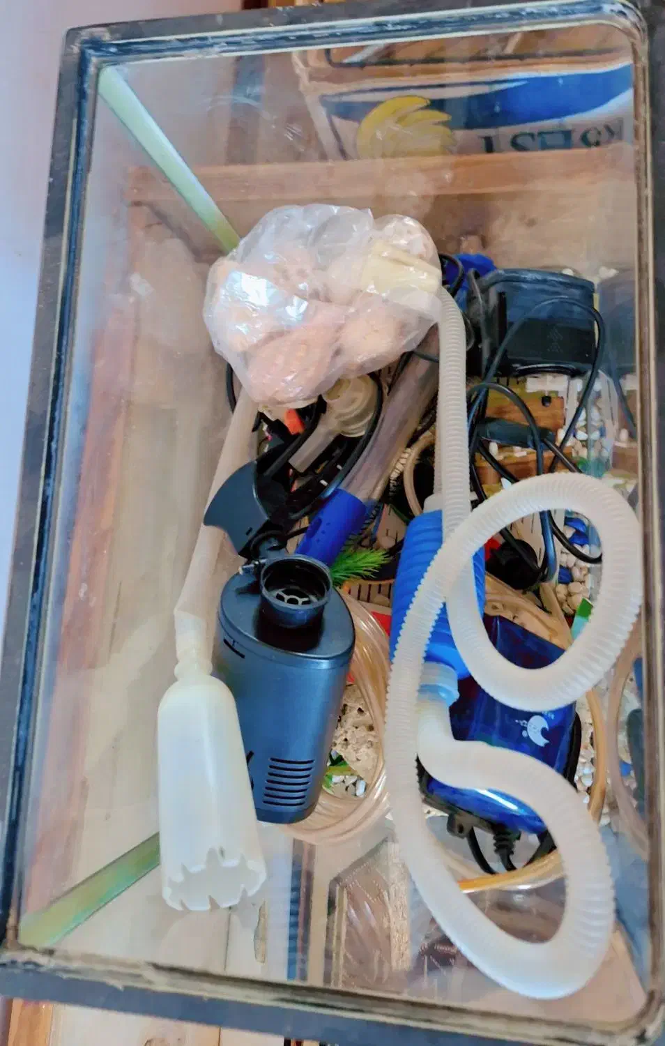 آکواریوم شیشه خم با کلیه تجهیزات|ماهی|گرمسار, |دیوار