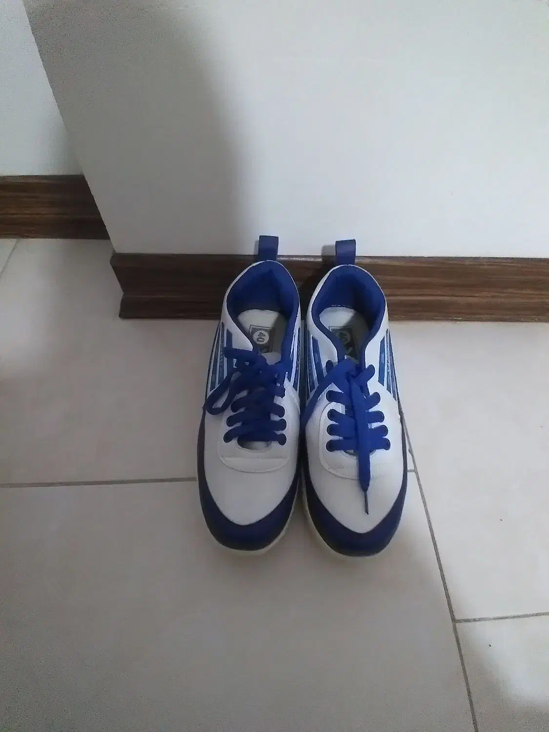 کتونی|کیف، کفش، کمربند|اراک, |دیوار