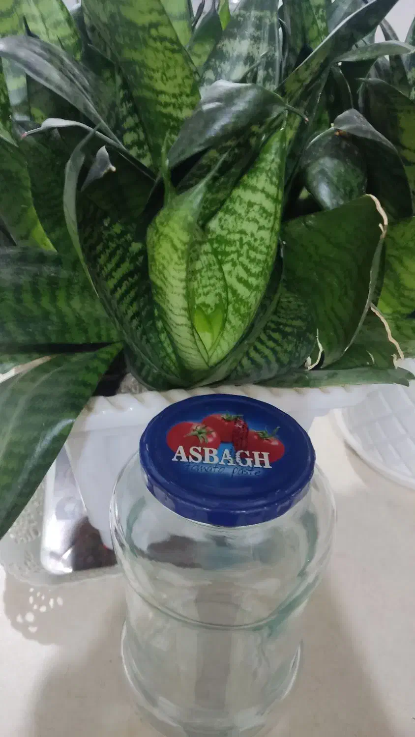 شیشه خالی|ظروف نگهدارنده، پلاستیکی، یک‌بارمصرف|بانه, |دیوار